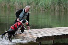 Teteriņu ezerā būs mācības suņiem