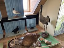 Jaunmoku pils muzejā – jaunieguvumi