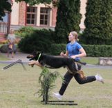 Sporta notikumu šajā nedēļā Tukuma novadā