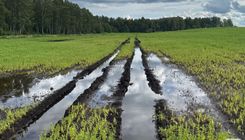 Apkopota informācija par lietavu un salnu radītajiem postījumiem līdz 4. augustam