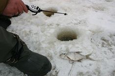 Valguma ezerā noslīcis zemledus makšķernieks