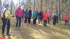 Irlavnieki – aktīvi nūjotāji