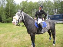 Jāšanas sports Tukumā