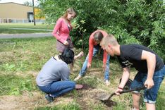 Jaunpils vidusskolas absolventi stāda pīlādžus
