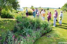 Puķu draugu dienas Jaunpilī /FOTO/