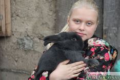 Augstākais novērtējums – Elīnai Ķildai un viņas Vīnes zilajam trusim