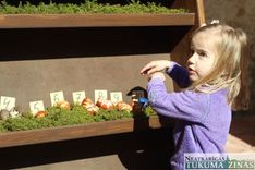 Lieldienas Jaunpilī