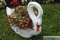 Jaunpils dārza svētkos/FOTO/