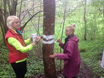 Imulas taka atkal brīvi izejama