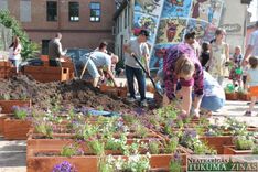 Kandavnieki dāvā savai pilsētai ziedus /FOTO/