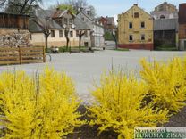 Pēdējā maija nedēļas nogale Tukuma un Kandavas pusē