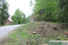 Sēmes pagastā nelegāli izcērt kokus