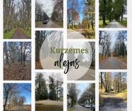 Noslēgusies kampaņas «Kļūsti par aleju detektīvu!» rudens sesija. Tukumnieki – vieni no aktīvākajiem