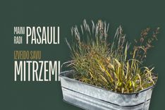 Latvijas Dabas fonds aicina skolas piedalīties akcijā “Izveido savu mitrzemi!”