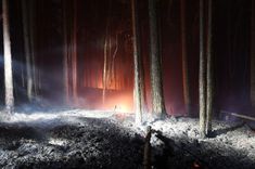 Uzmanību! Mežos sācies ugunsnedrošais laiks