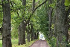 Kļūsti par aleju detektīvu Kurzemē un Ziemeļlietuvā!