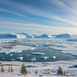 Solīts makā… krīt vai nekrīt?