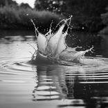 Sēmē no dīķa izcelts bojāgājušais