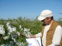 Pūrē – par vienu lauksaimniecības zinātņu doktoru vairāk