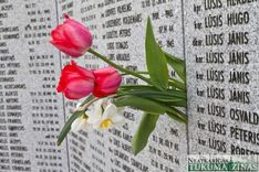 II Pasaules kara cīnītāju piemiņas pasākums Lestenē /FOTO/