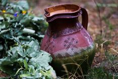 Saulgrieži un līgošana mūspusē