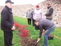 Likteņdārzā iestādīts Tukuma novada ozoliņš