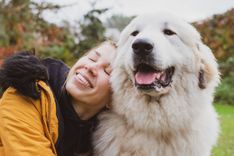 Atbalsti Pepiju – topošo suni terapeitu