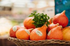 Arī mūspuses mazpulcēnu audzētie ķirbji – veikalu plauktos