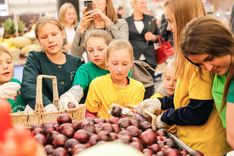 Lielveikalos nopērkami arī Kandavas un Zantes mazpulcēnu audzētie sīpoli