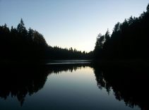 Platformā «Mana balss» uzsākta parakstu vākšana par Melnezera mežu