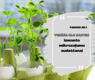 Ko darīt ar olu kastītēm?