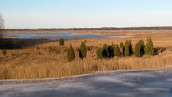 Aicina uz mitrāju mēneša pasākumiem, to skaitā uz talku pie Kaņieru ezera