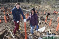 Jāņupītes dabas takā Dzirciemā iestāda 1800 ozolus /FOTO/
