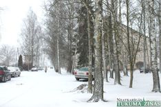 Gatavojas rekonstruēt Parādes ielu Jauntukumā