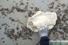 Jūrmala no Rojas līdz Lapmežciemam piesārņota ar parafīnu