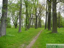 Šogad lielākie darbi plānoti Tukuma pilsētas parkā