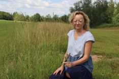 Velēna ir dabiskas pļavas donormateriāls