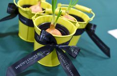 Teterevu fonds aicina NVO pieteikties atbalstam un palīdzēt grūtībās nonākušajiem veikt dārzkopības darbus