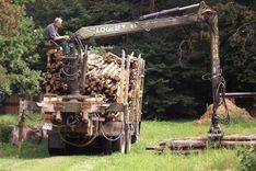 Tukuma dzīvnieku patversmei dāvā malku