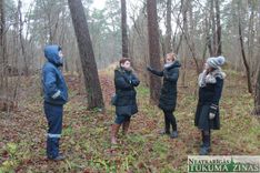 Apaudzis vai notīrīts. Kādam būt Tukuma pilskalnam?