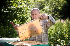 Noslēdzies pirmais uzsaukums dabisko pļavu apsaimniekotājiem – saņemti vairāk nekā 100 pieteikumi