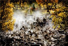 Izstāde «Sāmu ģimenes 8 gadalaiki» Brīvdabas muzejā