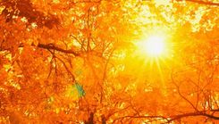 Dabas muzejā skolēnu brīvdienās – Ģimenes dienas