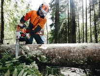 Septiņi svarīgākie noteikumi drošam darbam ar motorzāģi
