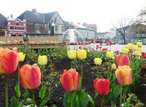 Kur un kā svinēt pavasari Tukumā un tā apkārtnē