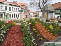 Tukumā šogad vairākās vietās veidos jaunus apstādījumus