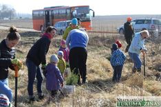 Pūres bērndārznieki iestāda 400 eglītes /FOTO/