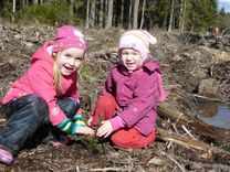 Zemītē bērni ar pedagogiem un vecākiem iestādījuši 2000 eglītes