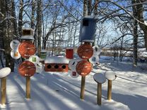 Jaunmoku pils piedāvā programmu “Pils parka putnu stāsti”