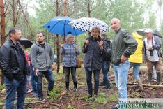 Vērtē sakoptu mežu Pūres pagastā